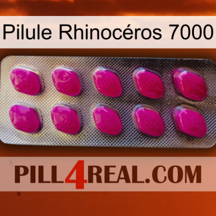 Pilule Rhinocéros 7000 09